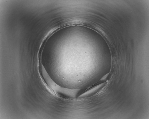 X0000064041034200602101419