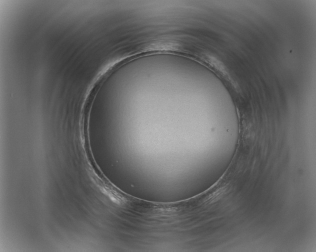 X0000064041035200602101419