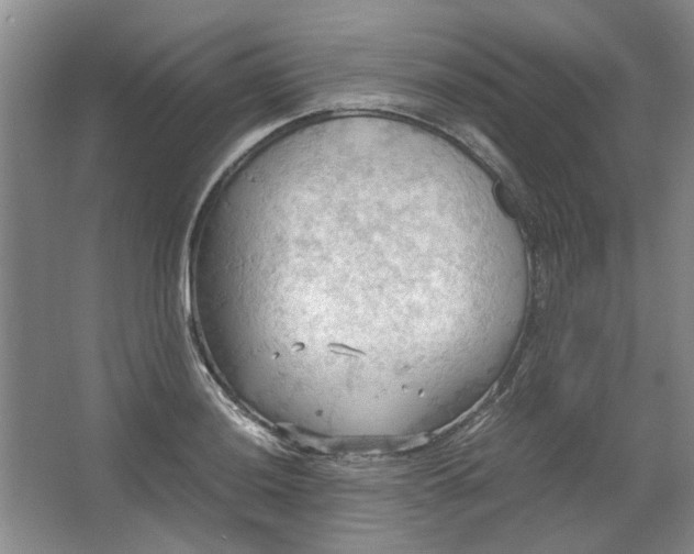 X0000064041036200602101419