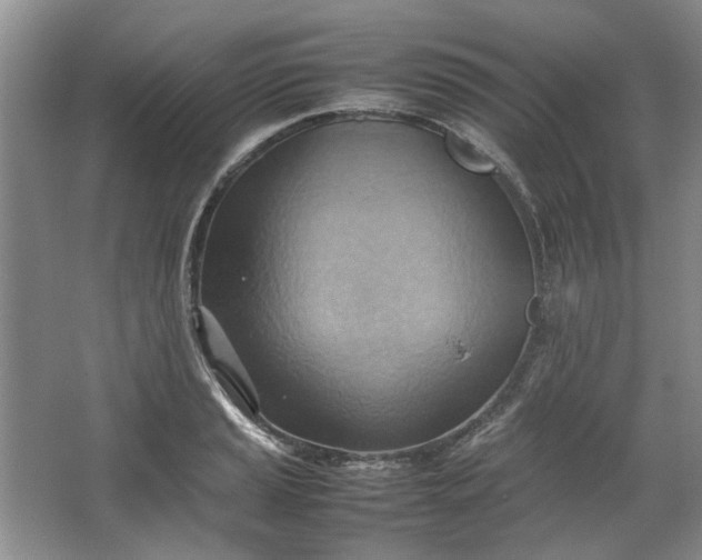 X0000064041037200602101419