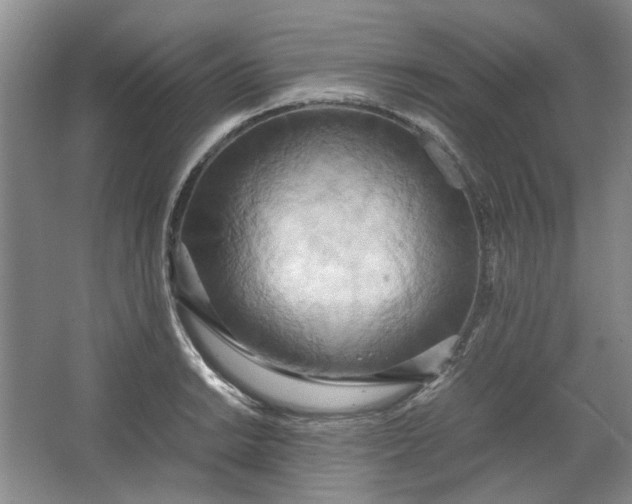 X0000064041038200602101419