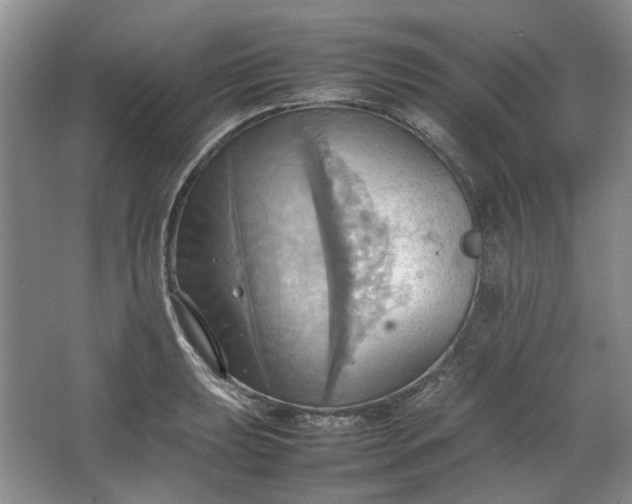 X0000064041039200602101419