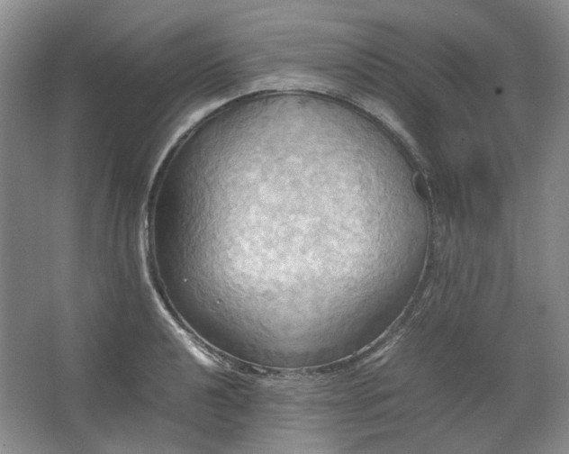 X0000064041040200602101419