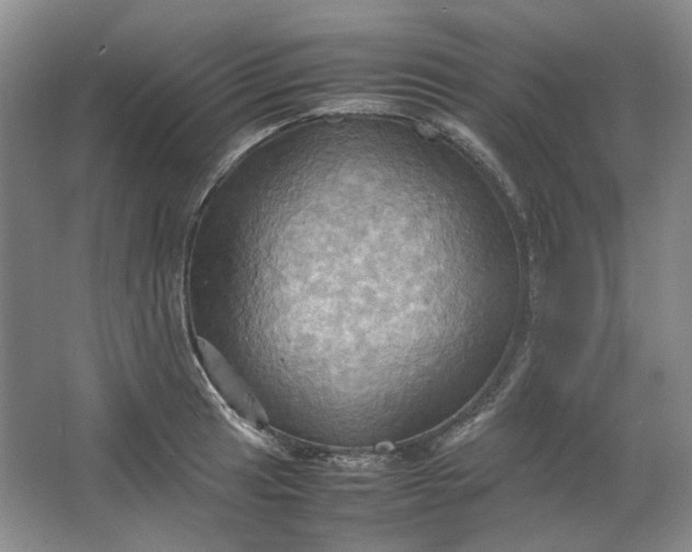 X0000064041041200602101419