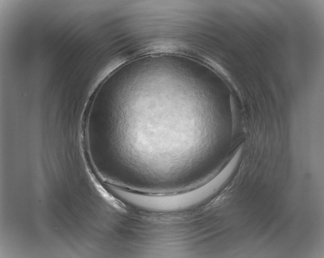 X0000064041042200602101419