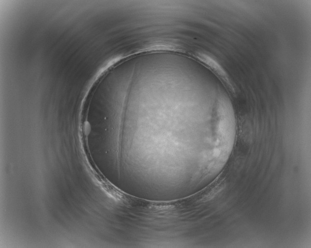 X0000064041043200602101419