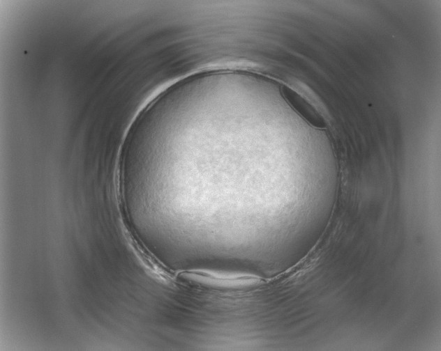 X0000064041044200602101419