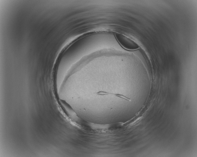 X0000064041045200602101419