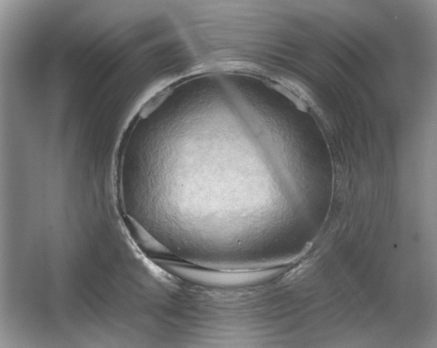 X0000064041046200602101419