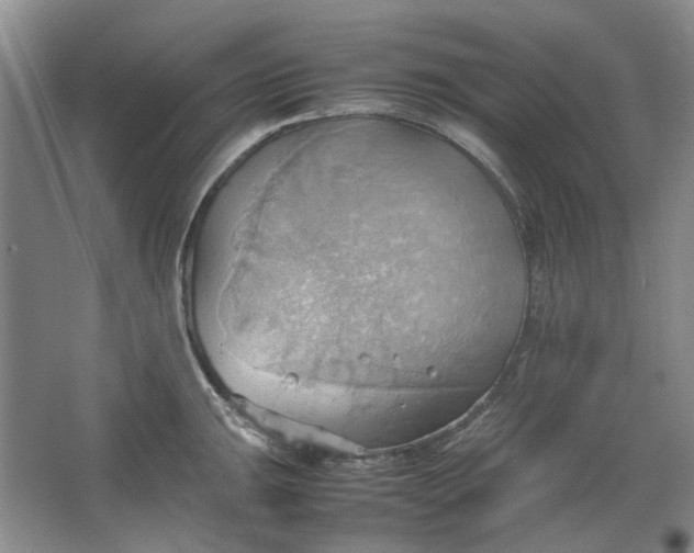 X0000064041047200602101419