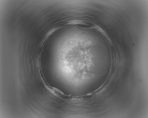 X0000064041049200602101419