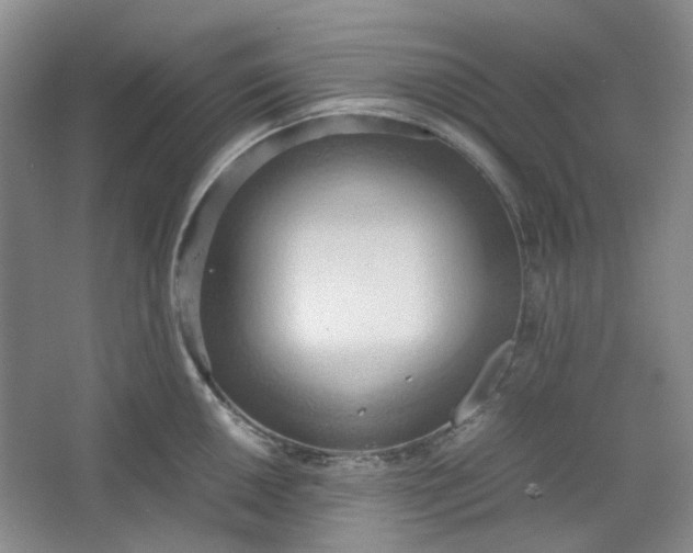 X0000064041050200602101419