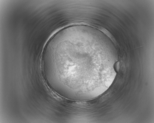 X0000064041052200602101419