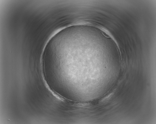 X0000064041053200602101419