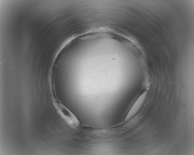 X0000064041054200602101419