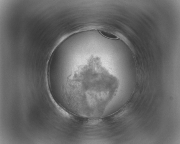 X0000064041055200602101419