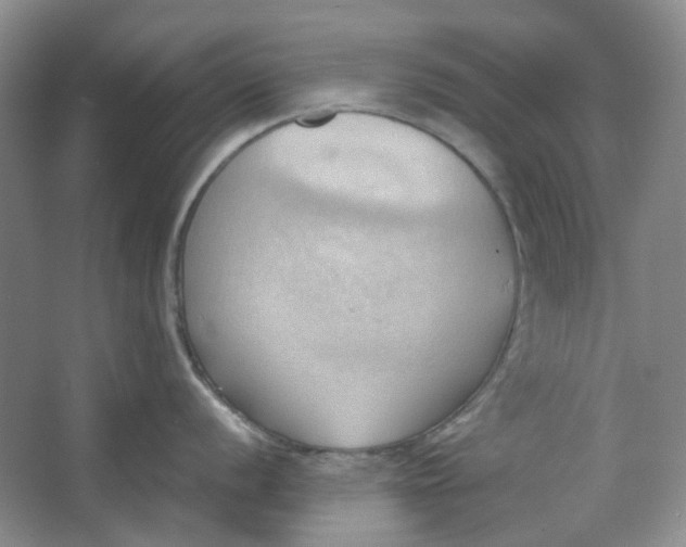 X0000064041056200602101420