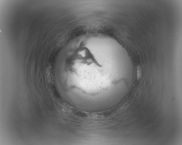 X0000064041059200602101419