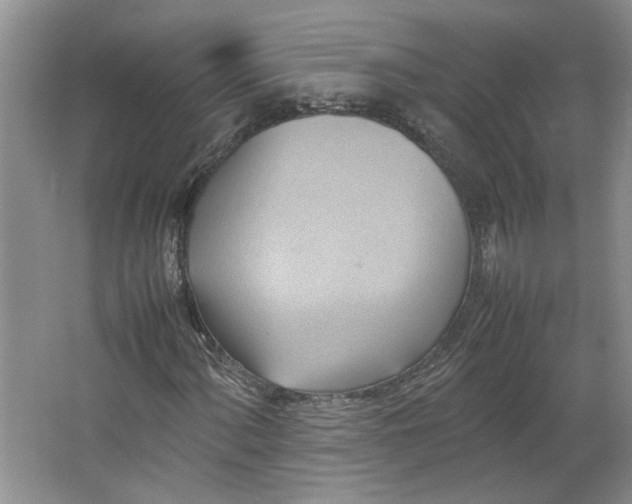 X0000064041060200602101419