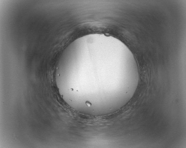 X0000064041061200602101419