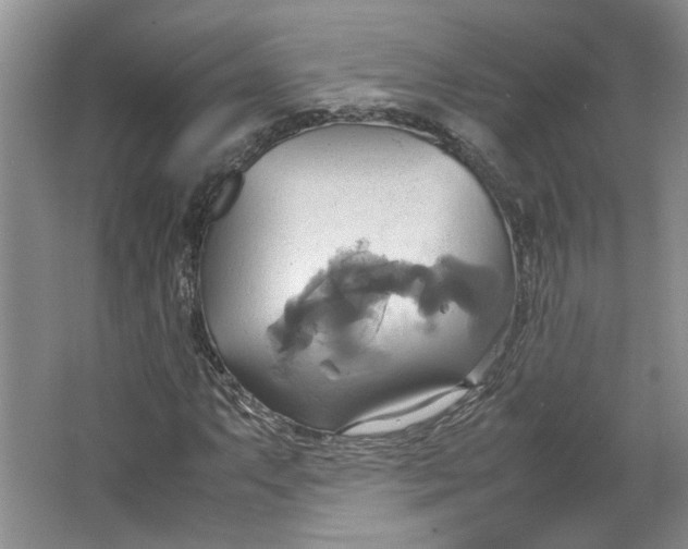 X0000064041063200602101419