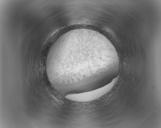 X0000064041064200602101419