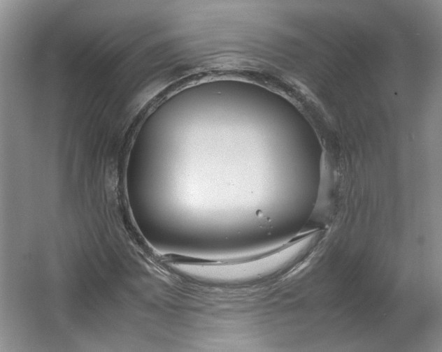 X0000064041065200602101419