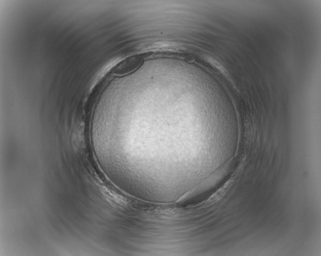 X0000064041066200602101419