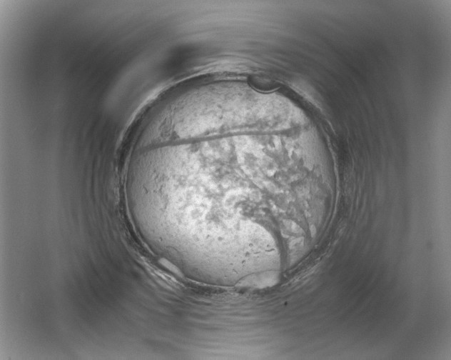 X0000064041067200602101419