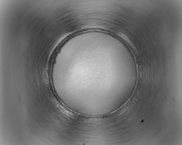 X0000064041068200602101419