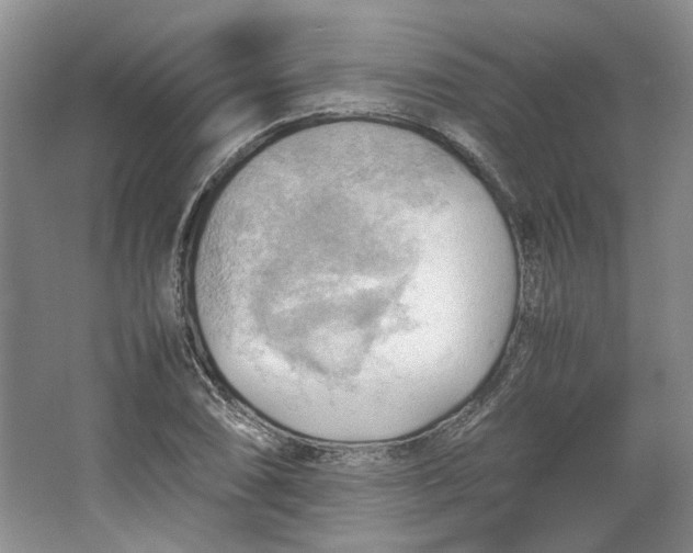 X0000064041074200602101418