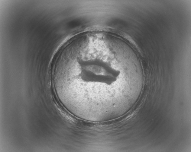 X0000064041075200602101418