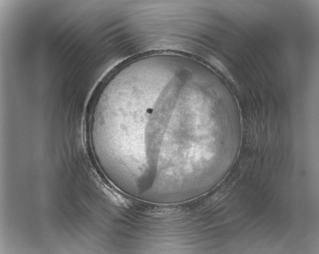 X0000064041076200602101418