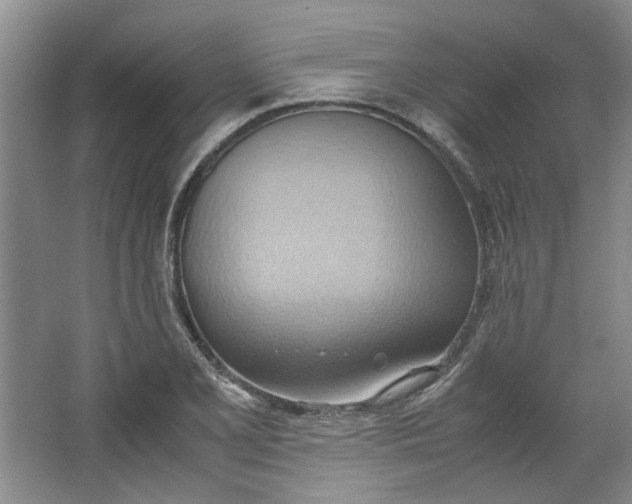 X0000064041077200602101418