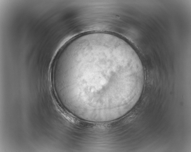 X0000064041078200602101418