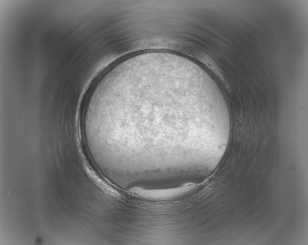 X0000064041080200602101418