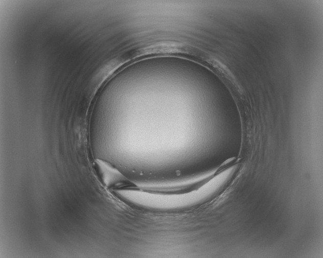 X0000064041081200602101418