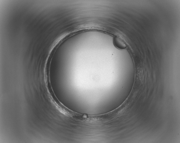 X0000064041082200602101418