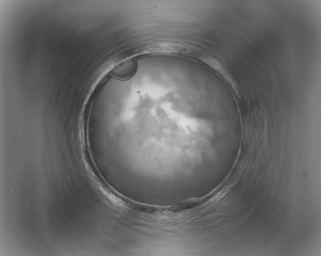 X0000064041083200602101418