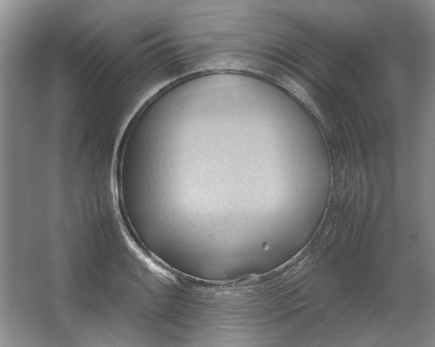 X0000064041084200602101418