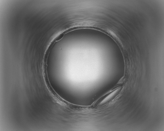 X0000064041085200602101418