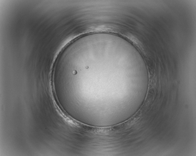 X0000064041086200602101418