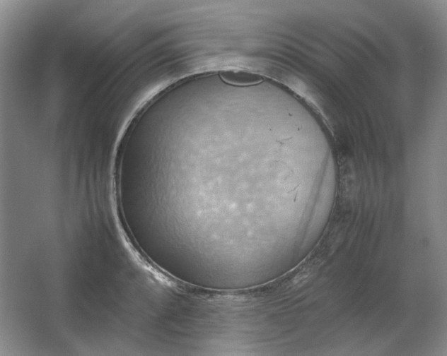 X0000064041088200602101418