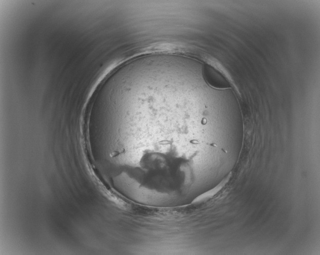 X0000064041091200602101418