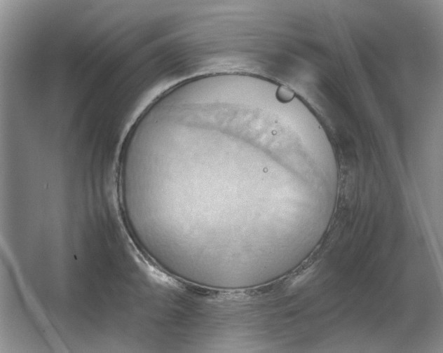 X0000064041094200602101418