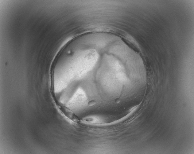 X0000064041095200602101418