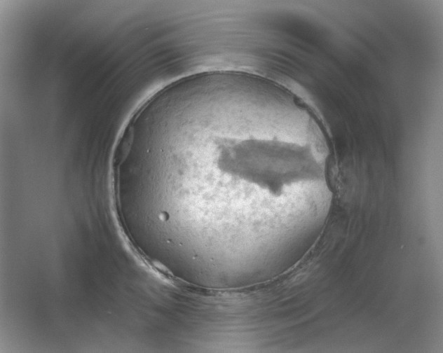 X0000064041096200602101418