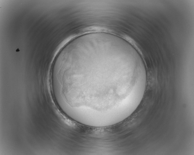 X0000064041098200602101418