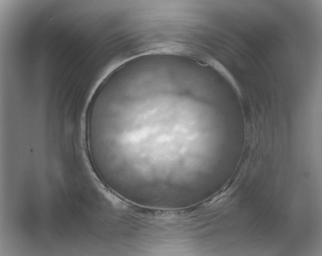 X0000064041099200602101418