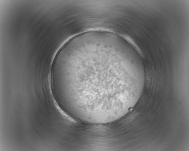 X0000064041100200602101418